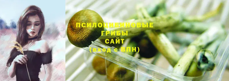 Псилоцибиновые грибы MAGIC MUSHROOMS  Буинск 